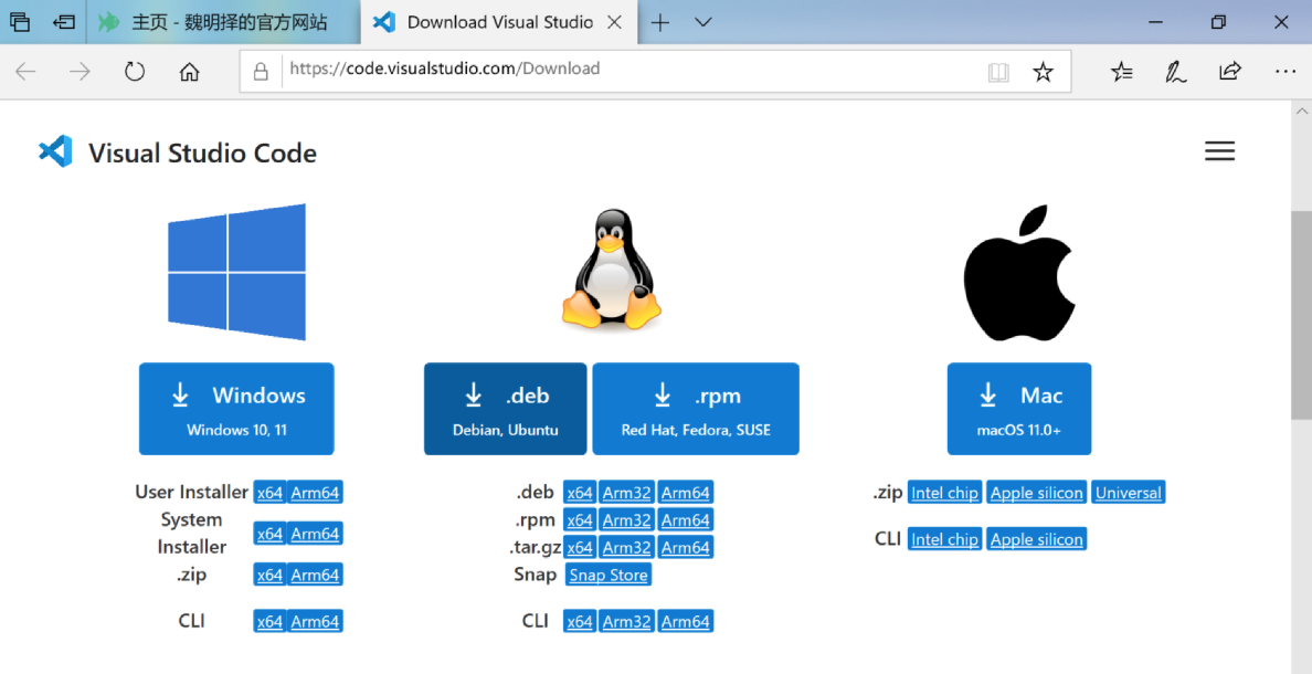 VS Code 的下载页面