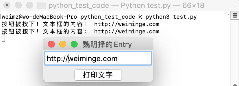 tkinter的Entry效果图